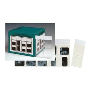 X-Ray Film Mounts Universal Triple Window Translucent Plastic 1000/Bx