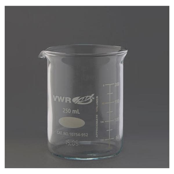 Graduated Beaker Glass Clear 250mL Ea