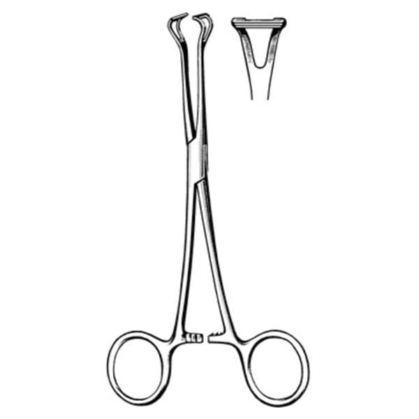 Babcock Grasping Forcep 6-1/4" Ea