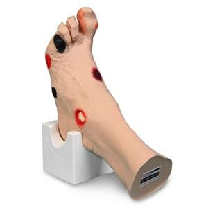 Wilma Wound Foot Anatomical Model Ea
