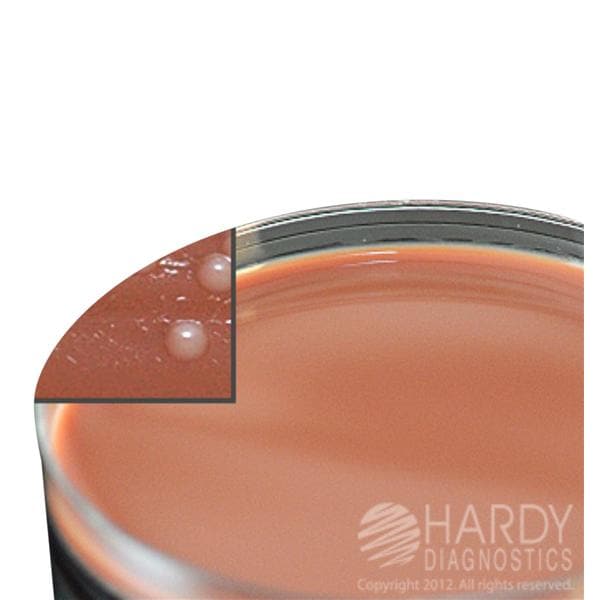 Neisseria Gonorrhoeae Test 10/Pk