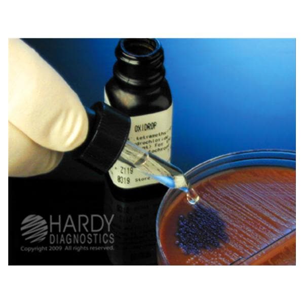 OxiDrop Oxidase Reagent 7mL Ea