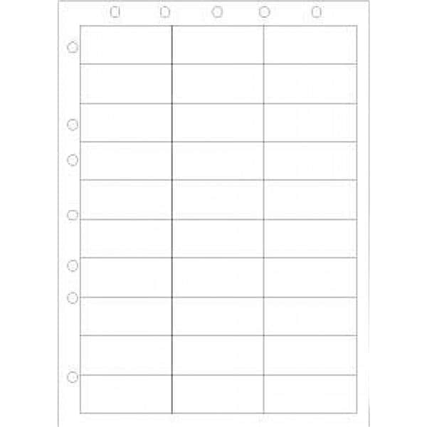 Patient ID/Chart Label 1000/Ca