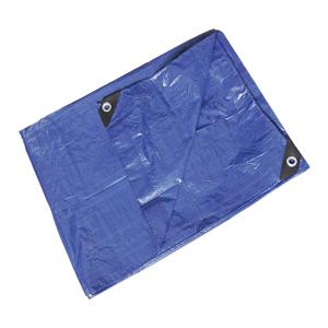 Standard Tarp Blue