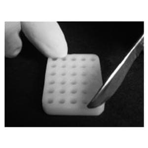 Tissue-Tek Quick-Ray Recipient Block 5x6 Ea