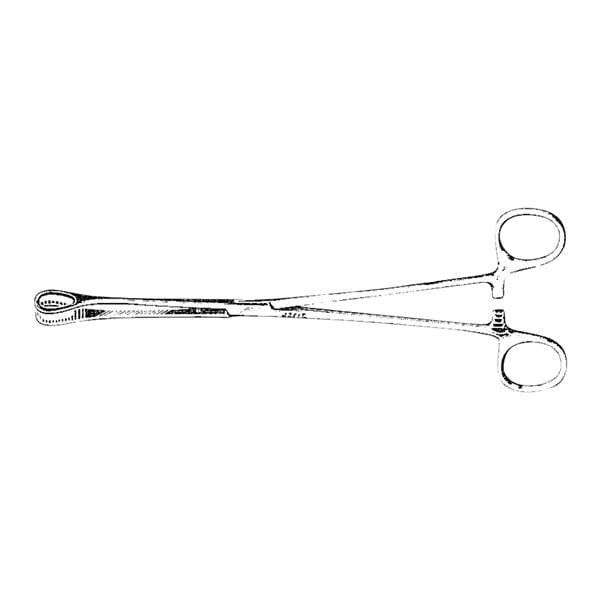 Foerster Sponge Forcep 9-1/2" Ea