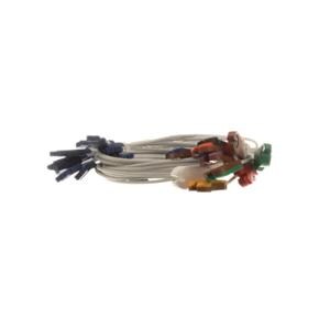 Wire Set New Clip 10 Lead Ea
