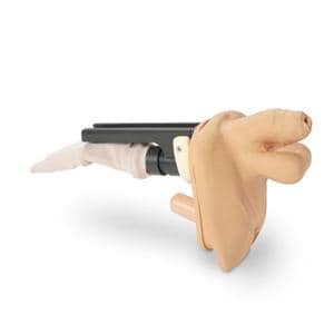 Genitalia GERI / KERI Training Male Model Ea