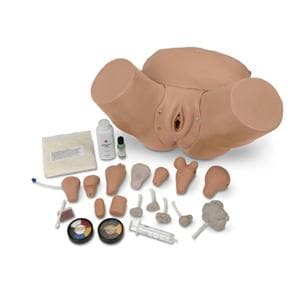 Lifeform Gynecologic Pelvic Exam Gynecological Training Female Simulator Ea