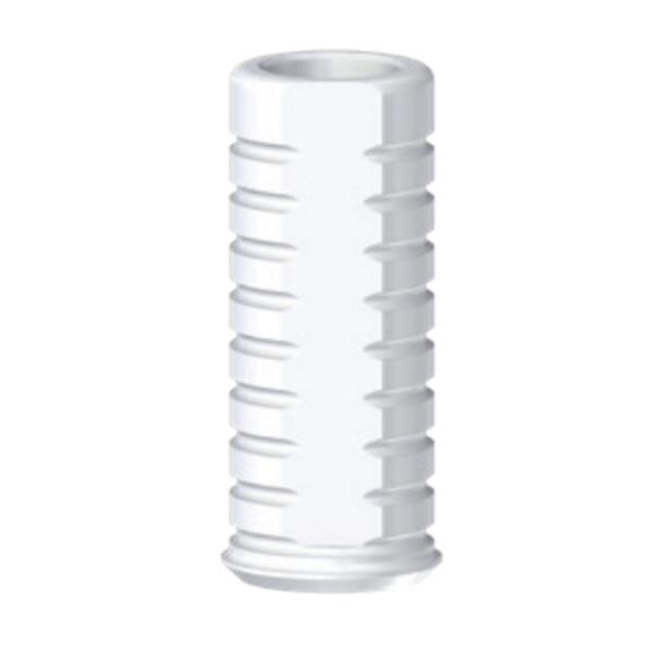 Abutment Castable Non-Engaging 10/Pk