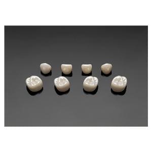 ACERO Crowns Size 2 2nd Primary Upper Right Molar 1/Bag Ea