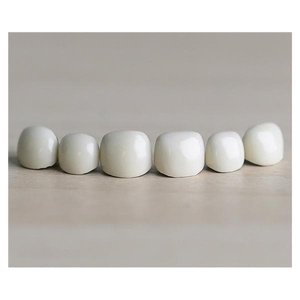 ACERO Crowns Size 3 Primary Anterior Upper Cuspid 1/Bag Ea