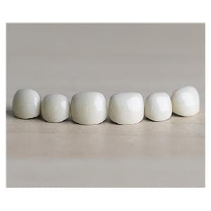 ACERO Crowns Size 5 Primary Anterior Upper Cuspid 1/Bag Ea