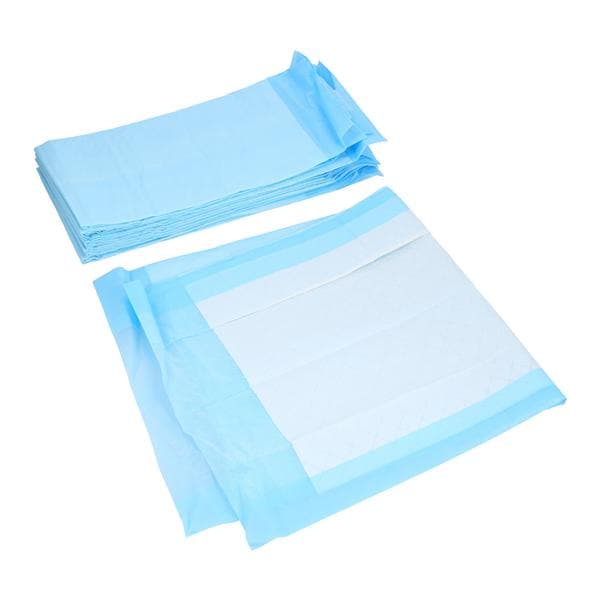 Protection Plus Incontinence Underpad 17x24" Light 300/Ca