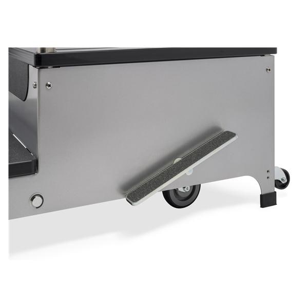 Lateral View 2 Step Platform Ea