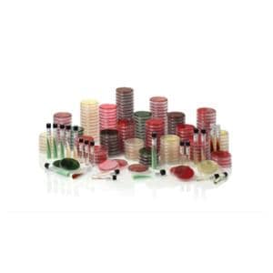 BD BBL Fluid Medium Thioglycollate 8mL Tube 10/Pk