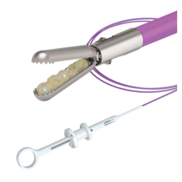 Biopsy Forceps 2.4mm Sterile Single-Use 10/Bx