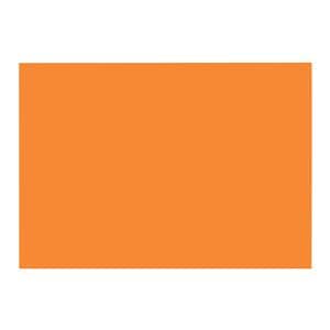 Label Single Ply Orange 1000/Roll 24Rl/Bx 24Rl/Bx