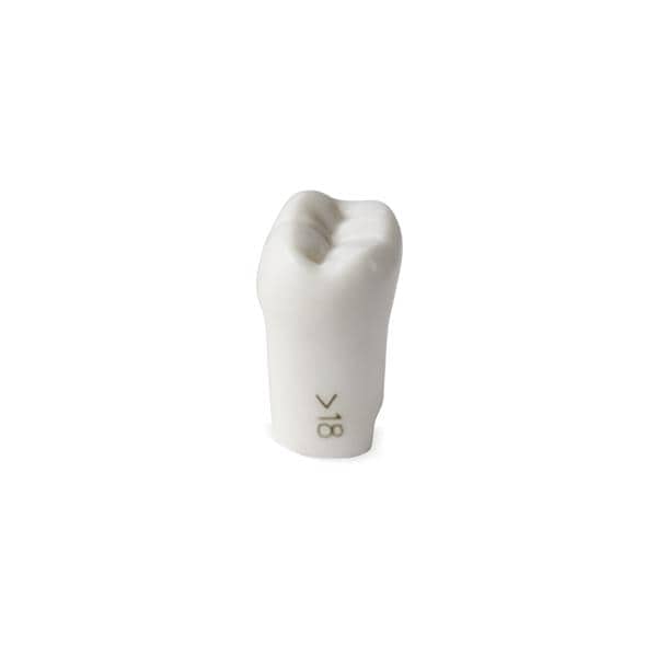 ModuPro One ModuPRO One/ModuPRO OS3 Replacement Tooth Ea