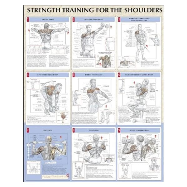 Strength Training for the Shoulders 24x31" Instructional Poster Ea