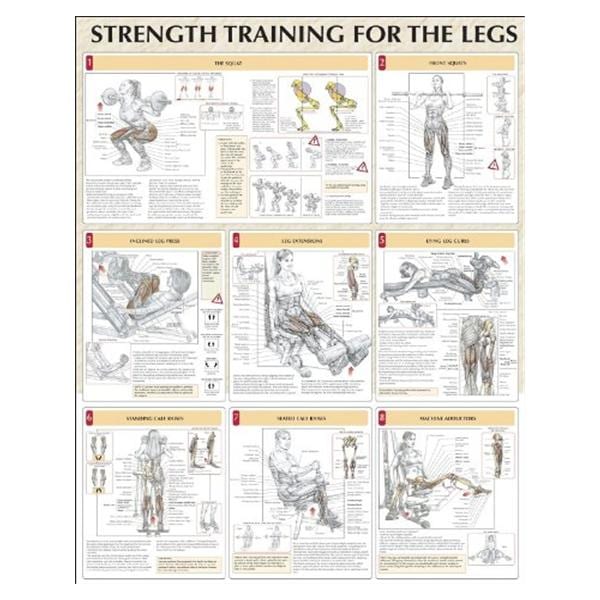 Strength Training for the Legs 24x31" Instructional Poster Ea