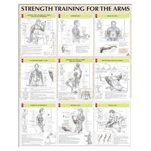 Strength Training for the Arms 24x31" Instructional Poster Ea