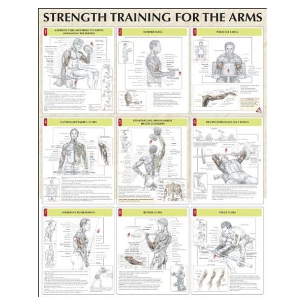 Strength Training for the Arms 24x31" Instructional Poster Ea