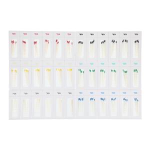 Absorbent Points 0.04 180/Bx