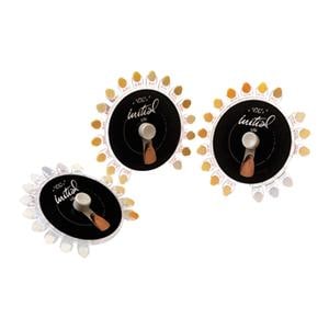 Initial LiSi Press Shade Guide Ea