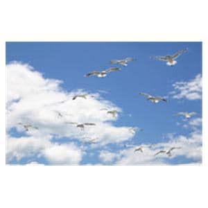 CeilingScenes Acoustic Tile Seagull Sky 2-Tiles Vertical 24 in x 24 in Ea