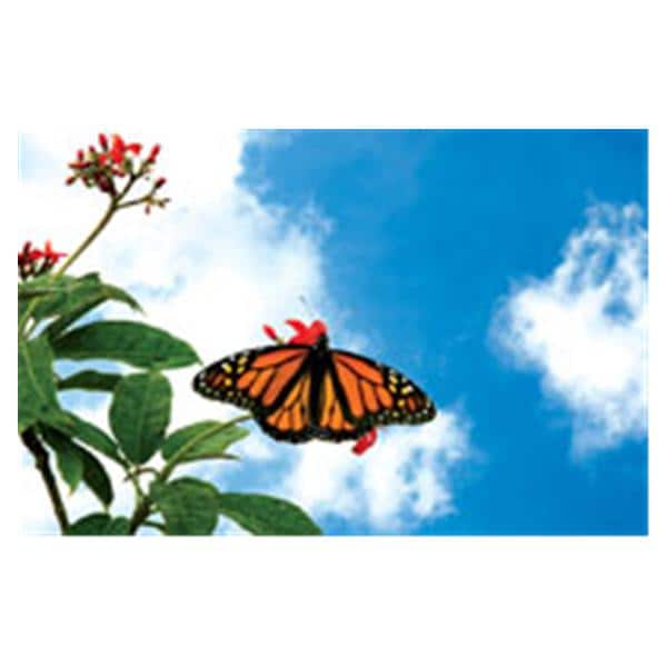 CeilingScenes Light Lens Monarch Sky 1-Tile Horizontal 48 in x 24 in Ea