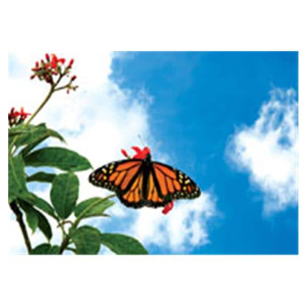 CeilingScenes Acoustic Tile Monarch Sky 1-Tile Square 24 in x 24 in Ea