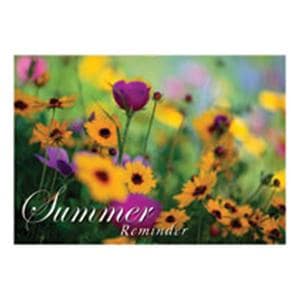 Imprinted Recall Cards Reminder Summer 4 in x 6 in 250/Pk