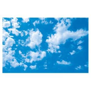 CeilingScenes Acoustic Tile Scattered Clouds 2-Tiles Vertical 24 in x 24 in Ea