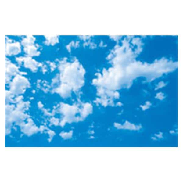 CeilingScenes Acoustic Tile Scattered Clouds 2-Tiles Vertical 24 in x 24 in Ea