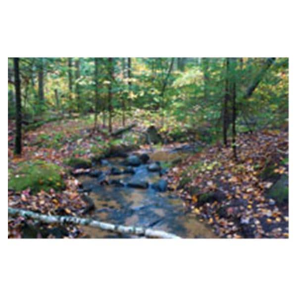 CeilingScenes Acoustic Tile Gentle Stream 2-Tiles Vertical 24 in x 24 in Ea