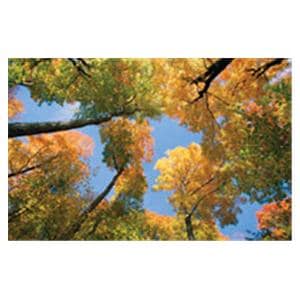 CeilingScenes Light Lens Maple Tree 2-Tiles Vertical 24 in x 48 in Ea