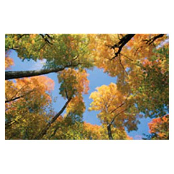 CeilingScenes Light Lens Maple Tree 2-Tiles Vertical 24 in x 48 in Ea