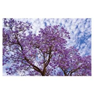 CeilingScenes Acoustic Tile Jacaranda 2-Tiles Vertical 24 in x 24 in Ea
