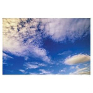 CeilingScenes Acoustic Tile Yukon 1-Tile Horizontal 48 in x 24 in Ea