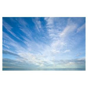 CeilingScenes Light Lens Cumulus Clouds 2-Tiles Horizontal 24 in x 24 in Ea
