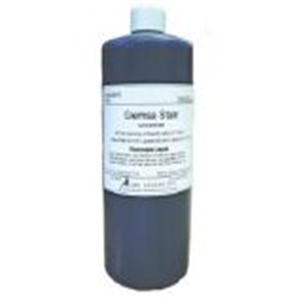 Wright-Giemsa Stain 32oz Bottle Ea