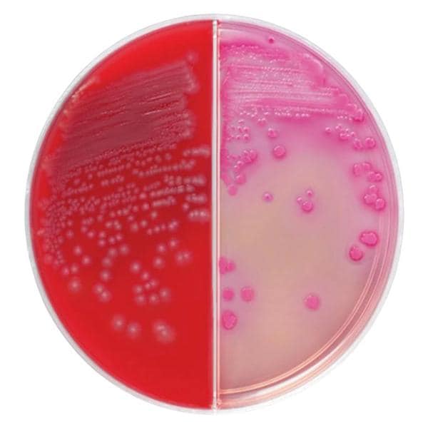 Blood Culture Biplate 100/Pk