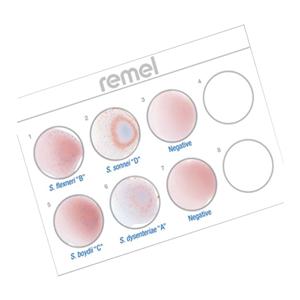 Wellcolex Shigella Test 50/Kt