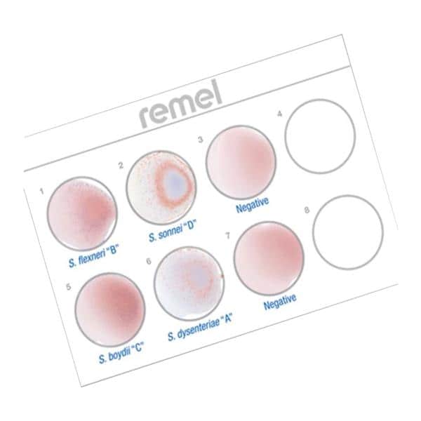 Wellcolex Shigella Test 50/Kt