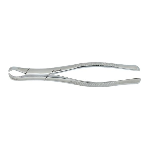 Extracting Forceps Size 23 Cow Horn Ea