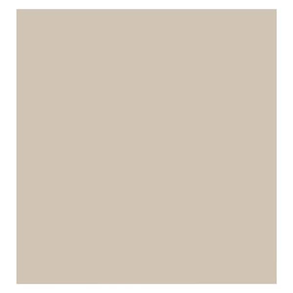 Cuspidor Screen 2-1/2 in 25/Pk