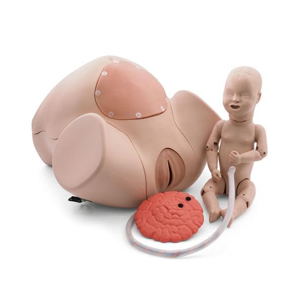 3B Scientific Birthing Simulator Ea