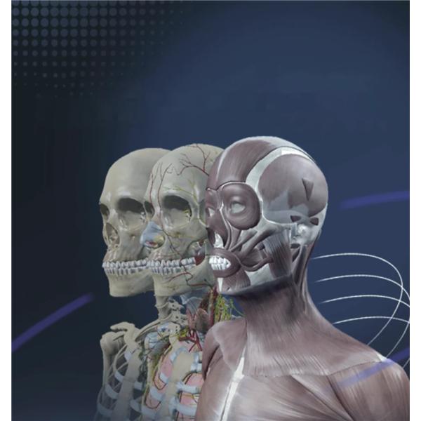Sym Anatomy Virtual Anatomy Training Software Ea