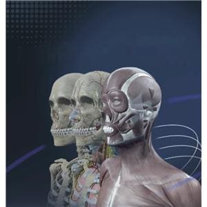 Sym Anatomy Sectional Anatomy Training Software Ea